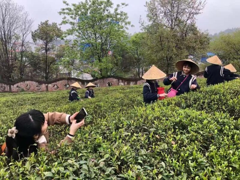 Longji Rice Terraces: 1-Day Private Tour - An Overview of the Tour: What You’re Getting