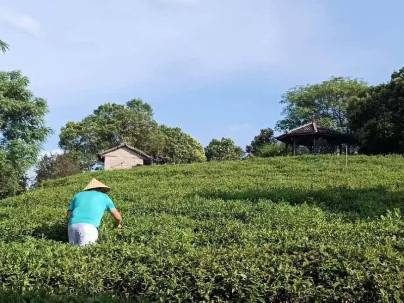 Longji Rice Terraces: 1-Day Private Tour - FAQ