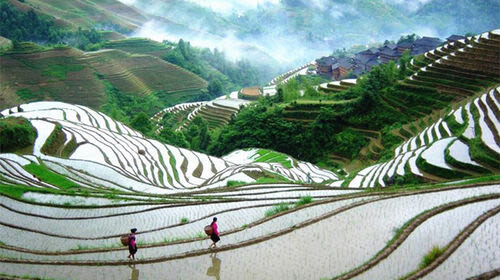 Longji Rice Terraces - Jinkeng: Red Yao villages and broad mountain views