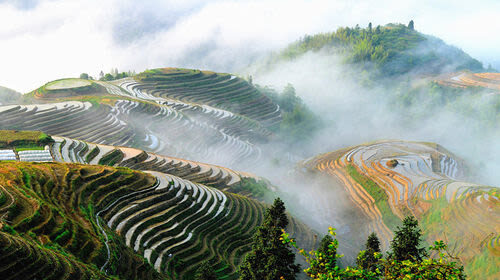 Longji Rice Terraces - Ancient Zhuang Village: older paths and wooden homes