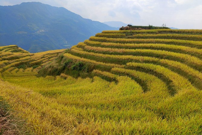 Longji Rice Terraces Day Tour From Guilin Hotel - What To Expect