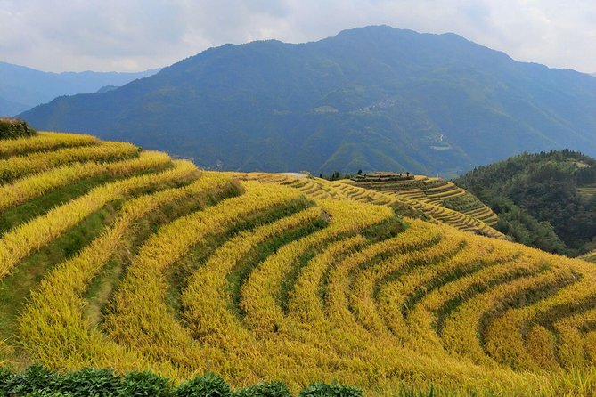 Longji Rice Terraces Day Tour From Guilin Hotel - Pricing Information