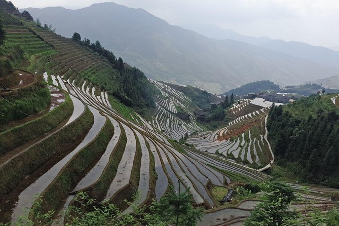 Longji Rice Terraces Day Tour From Guilin Hotel - Secure Booking and Flexibility