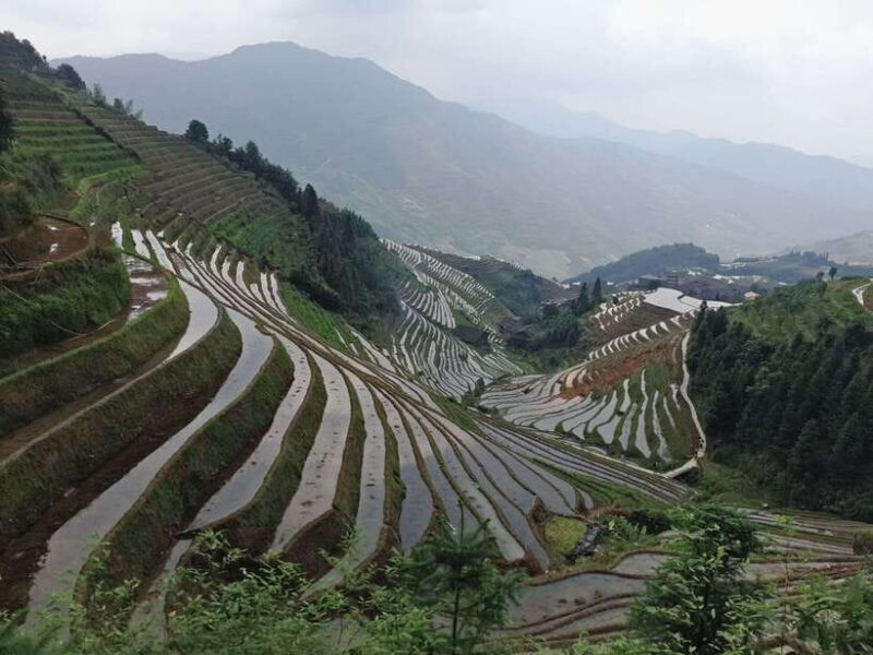 Longji Rice Terraces: Full-Day Private Tour from Guilin - Exploring the Longji Rice Terraces: An In-Depth Review