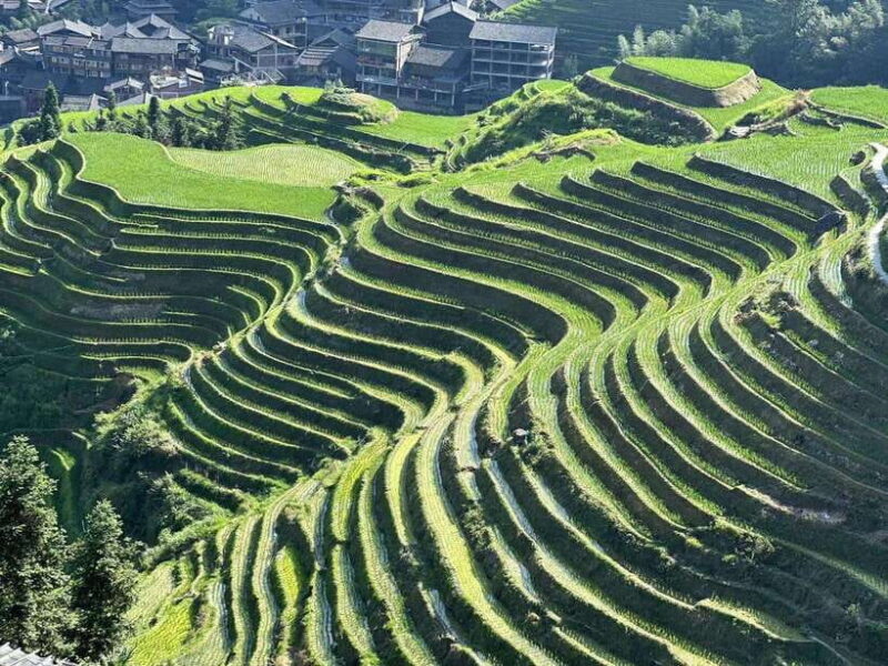 Longji Rice Terraces: Full-Day Private Tour from Guilin - Introduction