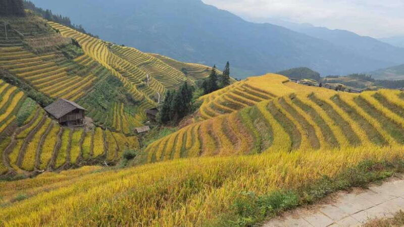 Longji Rice Terraces: Full-Day Private Tour from Guilin - Who Will Love This Tour?