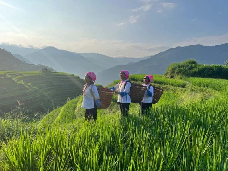 Longji Terraced Fields: Hiking to explore Ethnic Villages - Why This Tour Offers Great Value