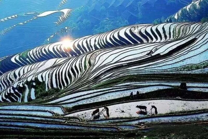 Longji Terraced Fields: Hiking to explore Ethnic Villages - FAQ