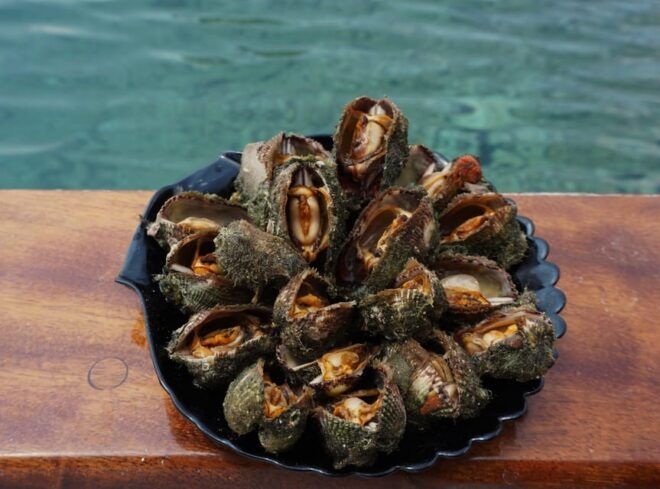 Longos Town: Trizónia Island Boat Cruise With Food & Drinks - Whats Included