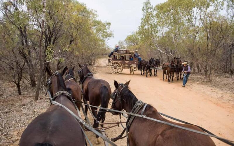 Longreach: Ride on a historic stagecoach on a bush track - An In-Depth Review of the Longreach Stagecoach Tour