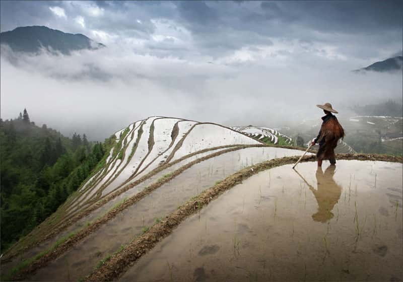 Longsheng Ethnic Minority & Rice Terraces Full-Day Tour - The Lunch Experience