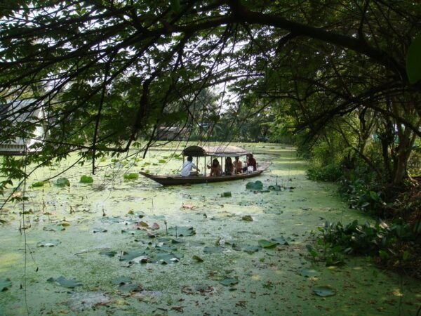 Longtail Boat Adventure to the Local Weekend Floating Market - Customer Reviews and Feedback