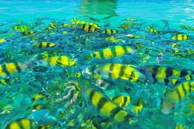 Longtail boat: Krabi 7 Islands Sunset tour Snorkeling - Who Is This Tour Best For?