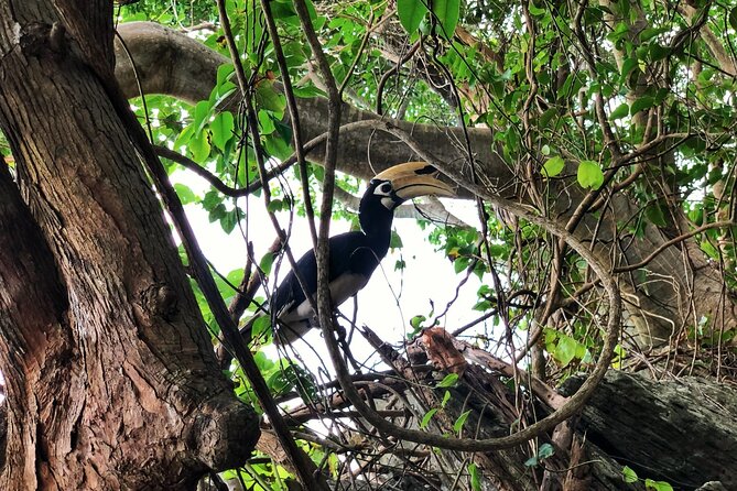 Longtail Boat Rental in Koh Hey From Phuket - Pricing and Booking