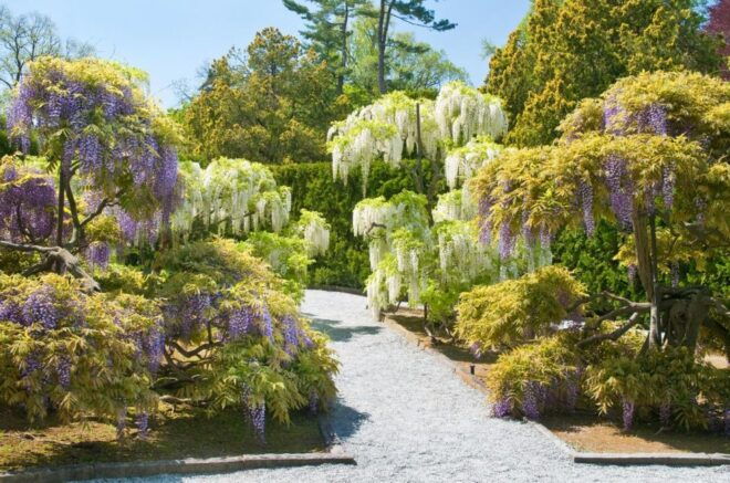 Longwood Gardens - Gardens Admission Ticket - Visitor Information