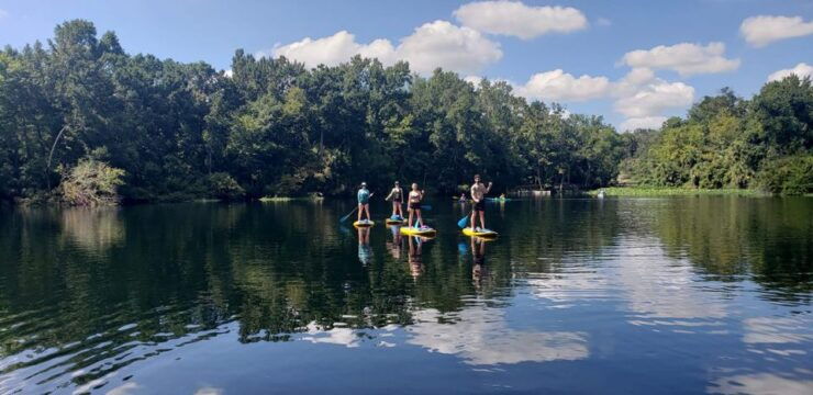 Longwood: Wekiva River Freshwater Springs Paddleboard Tour - Tour Overview