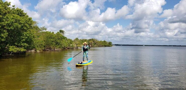 Longwood: Wekiva River Freshwater Springs Paddleboard Tour - Booking Information