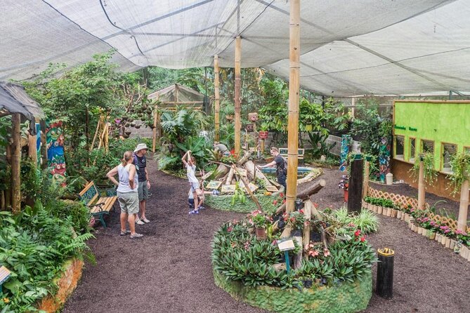 Looking for Nature Around Quito? Mindo Cloudforest Private Tour - Tour Overview