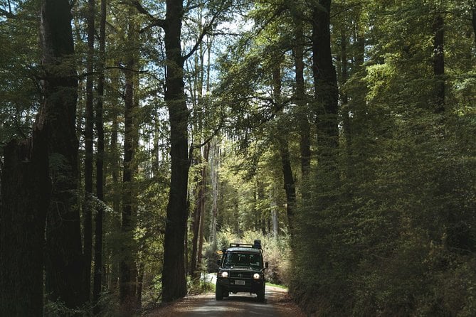 Lord of Rings Full-Day Tour Around Queenstown Lakes by 4WD - Common Questions