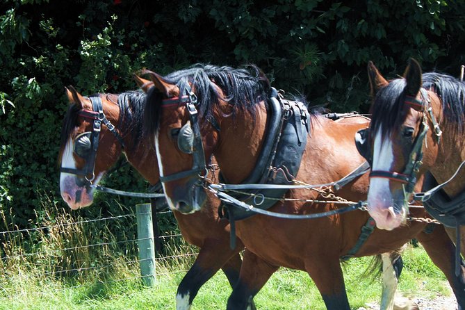 Lord of the Rings High Country Station Pioneering Experience & Scenic Day Tour - Tour Details