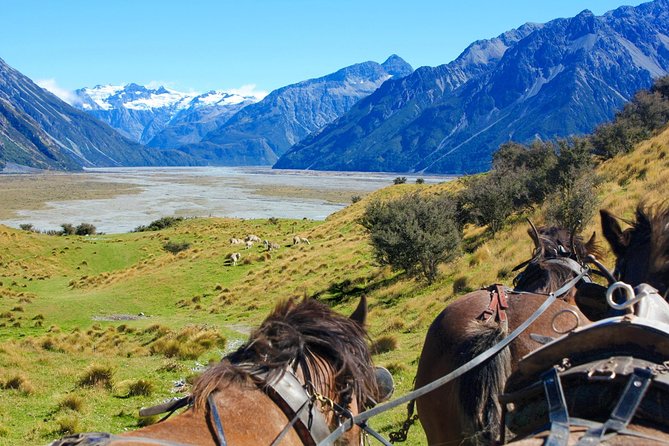 Lord of the Rings High Country Station Pioneering Experience & Scenic Day Tour - Reviews and Ratings