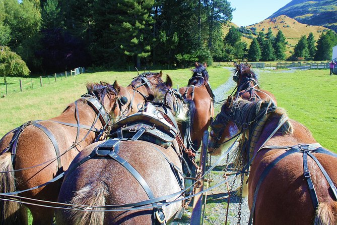 Lord of the Rings High Country Station Pioneering Experience & Scenic Day Tour - Price and Booking Details
