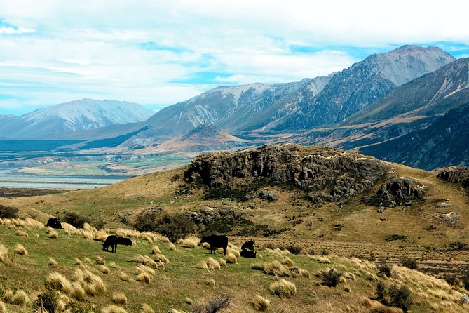 Lord of the Rings High Country Station Pioneering Experience & Scenic Day Tour - Common Questions