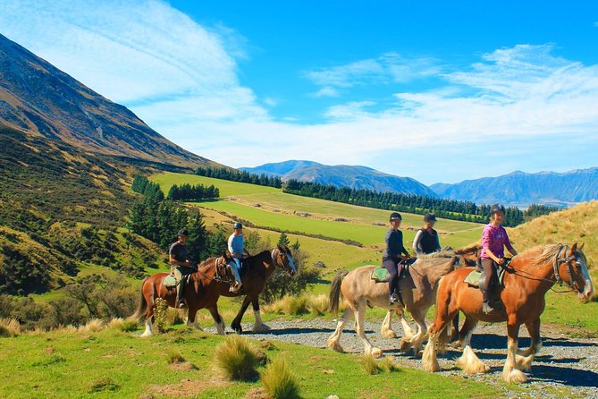 Lord of the Rings High Country Station Pioneering Experience & Scenic Day Tour - The Sum Up