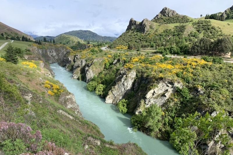 Lord of the Rings Safari - Queenstown Half Day Tour - Is the price good value?
