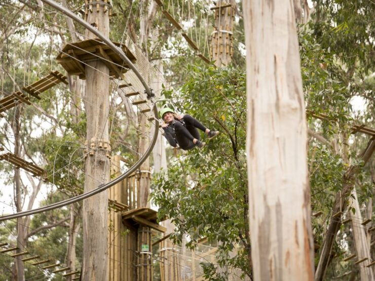 Lorne: Live Wire Park Ticket With Zip Line Rollercoaster - Ticket Details and Booking Flexibility