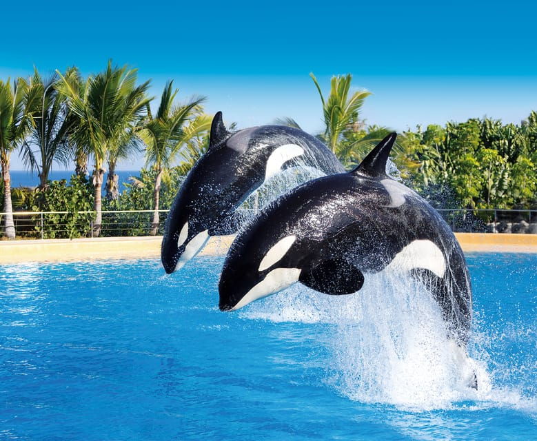 Loro Parque and Siam Park Combined Admission Tickets - Good To Know