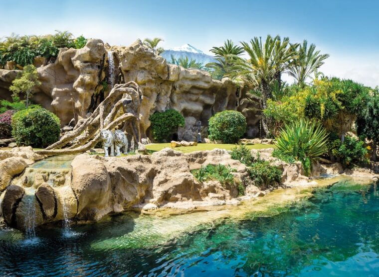 Loro Parque and Siam Park Combined Admission Tickets - Visitor Experiences