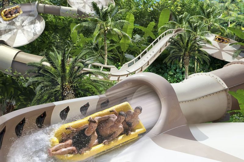 Loro Parque and Siam Park Ticket in Tenerife - Key points before you book
