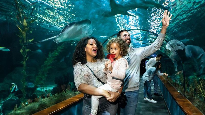 Loro Parque ticket - Loro Parque at a glance