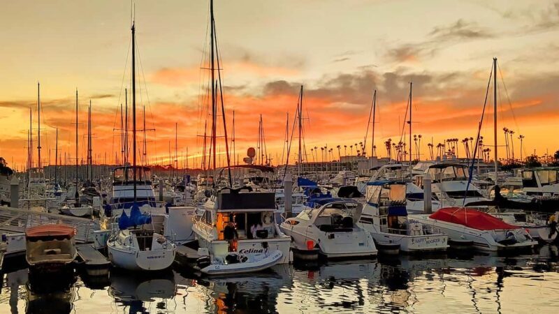 Los Angeles #1: Luxury Boat Cruise-Wine, Cheese & Sea Lions - The Sum Up