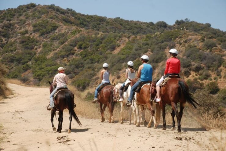 Los Angeles: 2-Hour Hollywood Trail Horseback Riding Tour - Experience