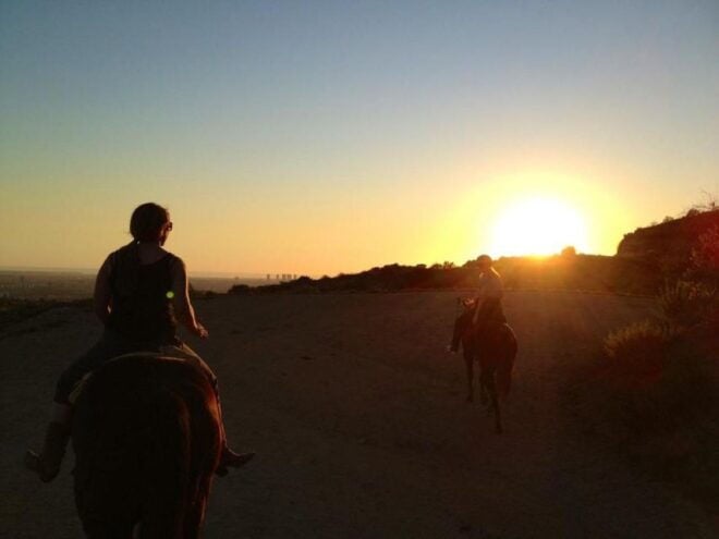 Los Angeles: 2-Hour Hollywood Trail Horseback Riding Tour - Customer Reviews