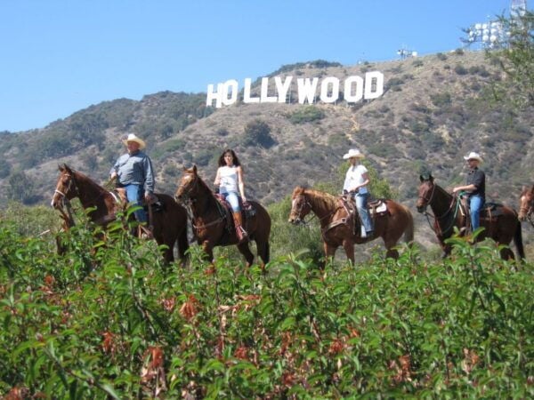 Los Angeles: 2-Hour Hollywood Trail Horseback Riding Tour - Transportation