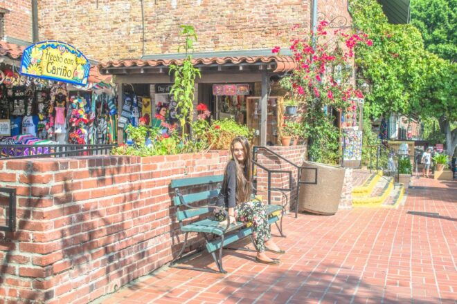 Los Angeles: 3-Hour Private Driving Tour W/ Local Guide - Little Tokyo Experience