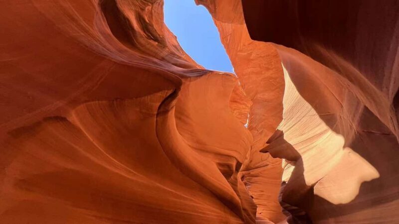 Los Angeles: 8-Day Antelope and Yellowstone Tour - FAQ