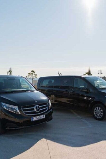 Los Angeles Airport: One-Way Private Transfer to Los Angeles - Vehicle and Luggage Policies