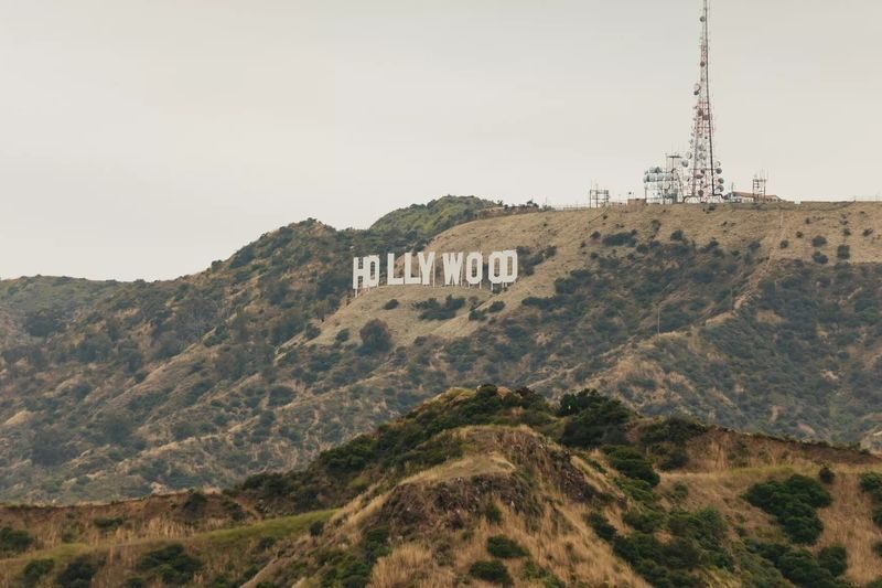 Los Angeles and Celebrity Homes Combo Tour - A bus tour built for LA distances