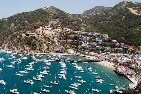 Los Angeles Catalina Island Tour with Optional Round Trip Transfer - A self-guided day in Avalon