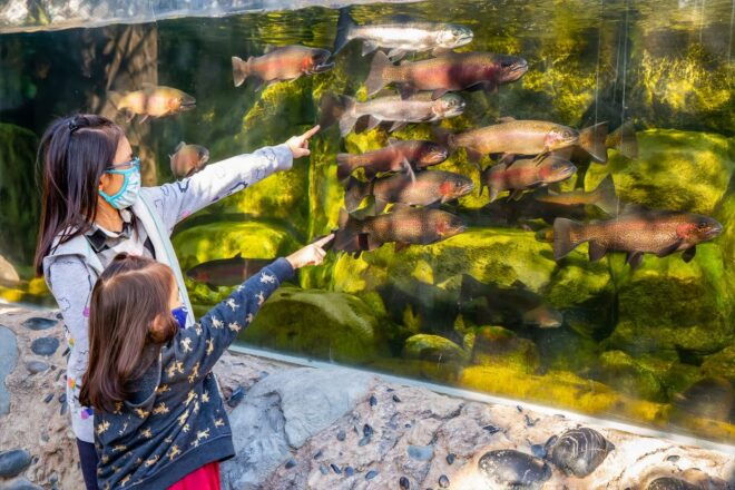Los Angeles: Go City All-Inclusive Pass With 15 Attractions - Savings and Discounts Compared to Individual Tickets