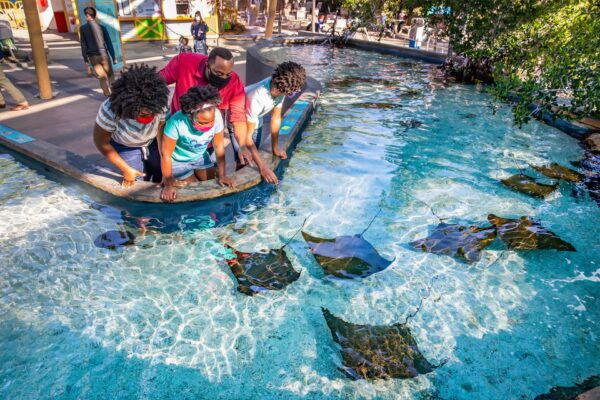Los Angeles: Go City All-Inclusive Pass With 15 Attractions - Guided Tours Included in the Pass