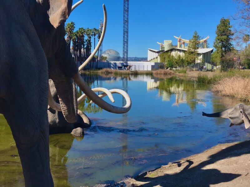 Los Angeles: Hollywood Sign Electric Bike Tour - What’s Included & What to Bring