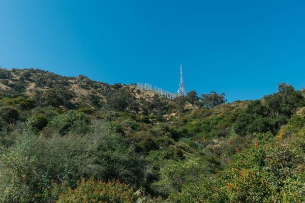 Los Angeles: Hollywood Sign One-Hour Tour - Transportation and Logistics