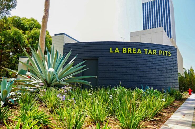 Los Angeles: La Brea Tar Pits Museum Ticket - Museum Information