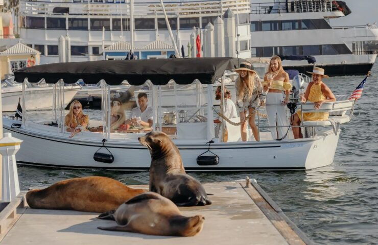 Los Angeles: Luxury Cruise With Wine, Cheese & Sea Lions - Cruise Details