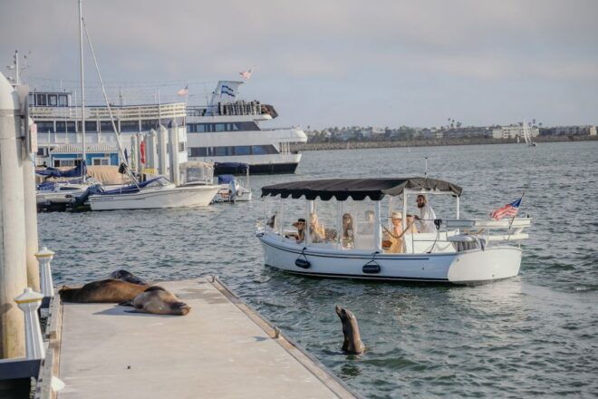 Los Angeles: Luxury Cruise With Wine, Cheese & Sea Lions - Highlights of the Wine Cruise